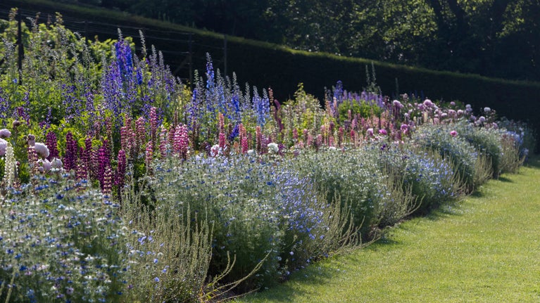 Colourful flowers in a herbaceous border backed by a neatly trimmed hedge in the garden at Upton House and Gardens, Warwickshire.